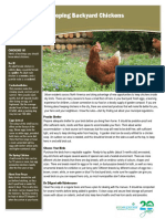 2015 Backyard Chickens Fact Sheet