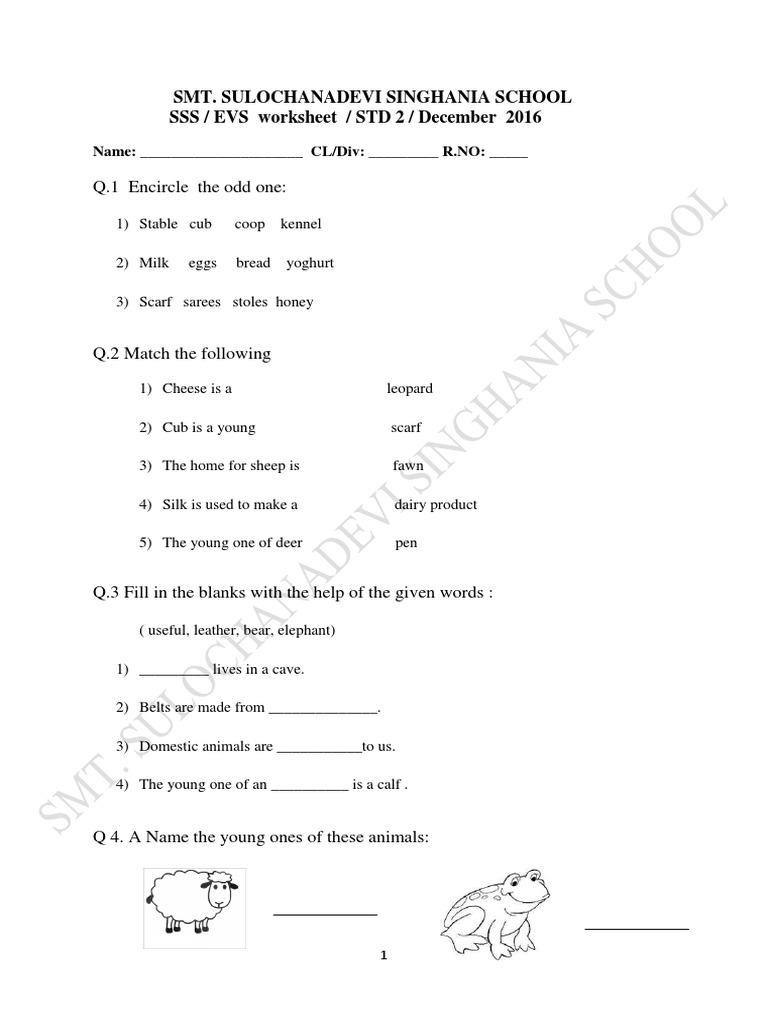 evs worksheet