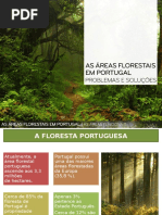As Áreas Florestais Em Portugal - Problemas e Soluções