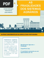 As Fragilidades Dos Sistemas Agrários