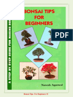 BONSAI-TIPS.pdf