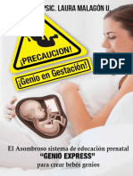 !precaucion Genio en Gestacion! - Psic. Laura Malagon Uscanga