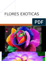 Flores Exoticas