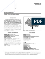 Crescentia Cujete Calabash-Tree: Fact Sheet ST-216