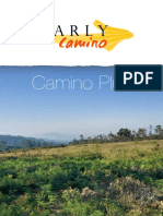 Camino Plus Tour Español