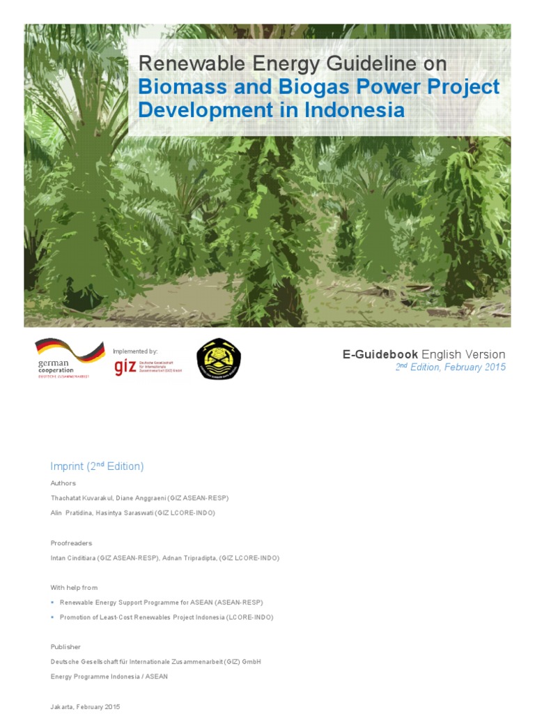 Biomass & Biogas Project Guide Indonesia | PDF | Coal | Energy Development