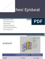 Anesthesi Epidural