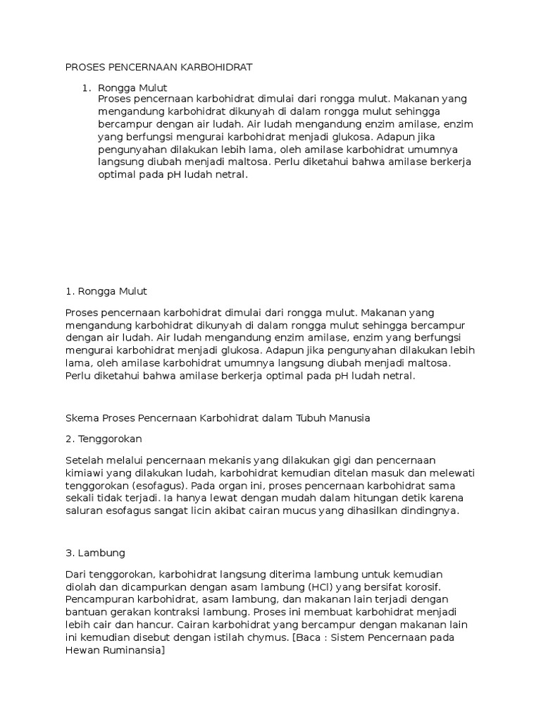 Proses Pencernaan Karbohidrat