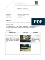 Informe Scout Enero 2014