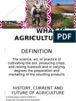 Introduction To Agricultural Industry - Sheridan Pawlowski