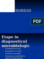 Actinomyces