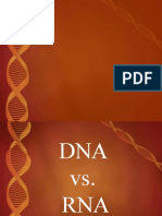 Dna & Rna