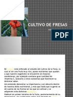 Cultivodefresas 150321103716 Conversion Gate01