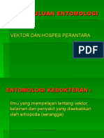 Vektor & Hospes