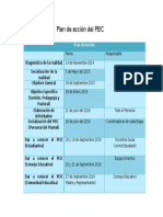 Plan de Acción Del PEIC