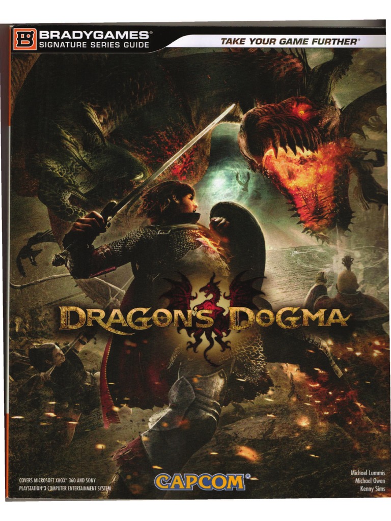 Dragons Dogma Leisure