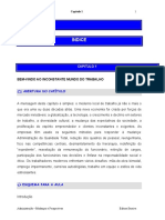 ADMINISTRACAO_MUDANCAS & PERSPECTIVAS_CAP 1_INCONSTANTE MUNDO DO TRABALHO.pdf