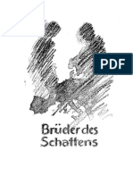 Brueder Des Schattens Von Heinz Pfeifer