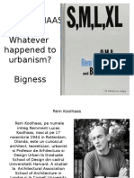 Rem Koolhaas