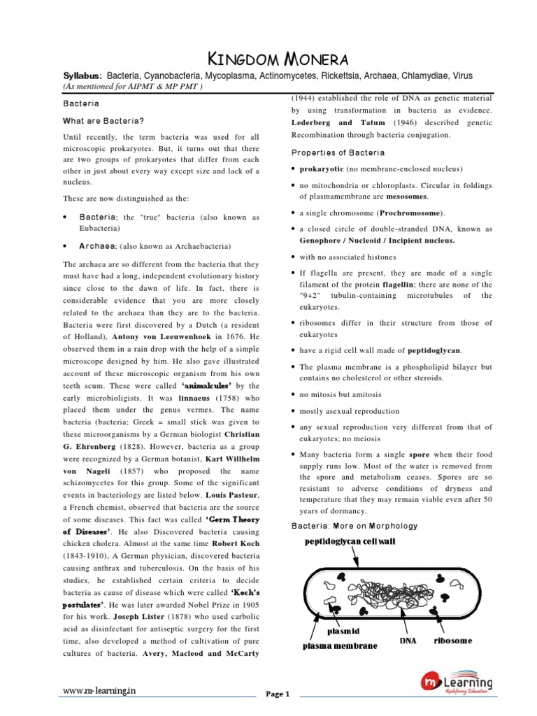 Overview of Bacteria and Their Properties | PDF | Bacteria | Bacteriophage