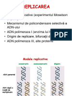 FDI Replicare