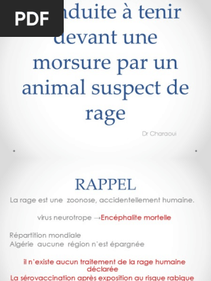 Infectieux4an Cat Devant Morsure Par Animal Suspect De Rage