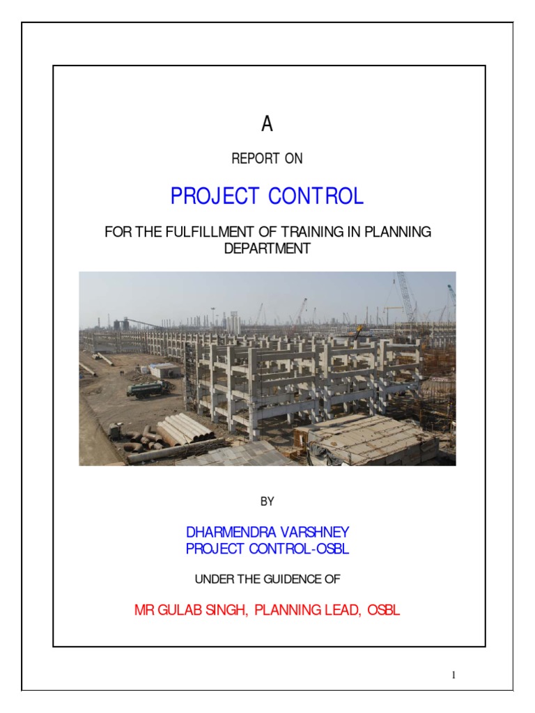 Project Report - DV 27 Jul | PDF | Oil Refinery | Project Management