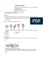 Soal Ujian Akhir Materi Protista