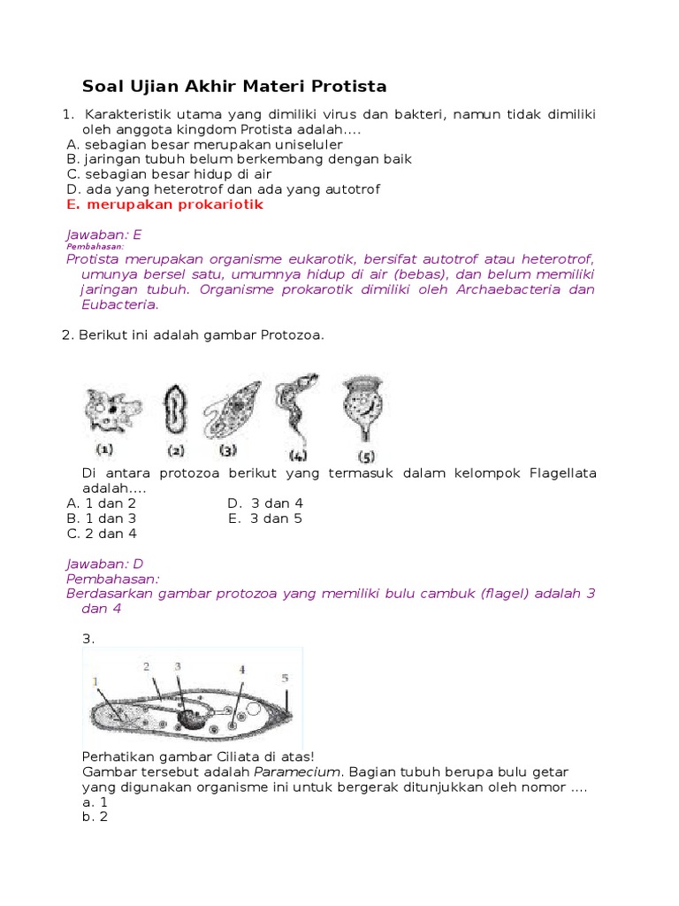 Soal Ujian Akhir Materi Protista