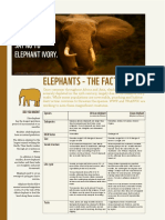 Elephant Factsheet