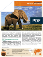 African Elephant Factsheet2007w