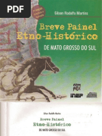 Breve Painel Etno-Histórico de Mato Grosso do Sul