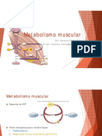 Metabolismo Muscular