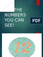 Say The Numbers You Can See!