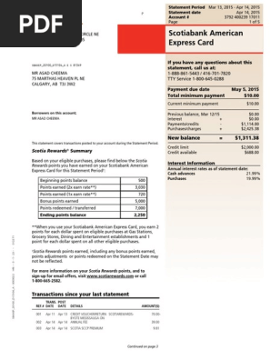 Asad Bank Statement Financial Transaction Credit Card