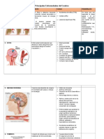 Principales Enfermedades Del Cerebro