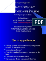 Sensory Function