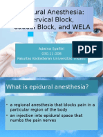 Epidural Anesthesia: Cervical Block, Caudal Block, and WELA