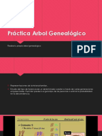 Arbol Genealógico