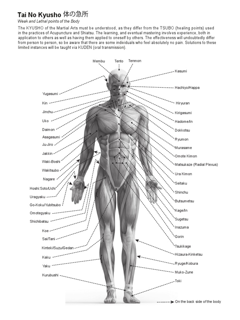 Kyusho Jitsu Pressure Points Guide | PDF | Self-Improvement