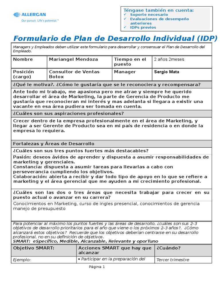 SP 2013 IDP Worksheet Template (1) Realizada | PDF | Marketing ...