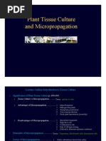 Download Introduction to Tissue Culture by Sk Salahuddin Ahammad SN33671750 doc pdf