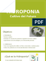 Hidroponia