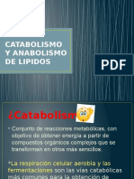 Catabolismo y Anabolismo de Lipidos 