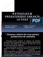 Metodologia Producerii de Samanta La Ovaz