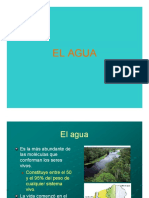 El Agua