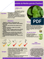 ficheHE21menthe PDF