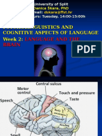 Language.brain.2