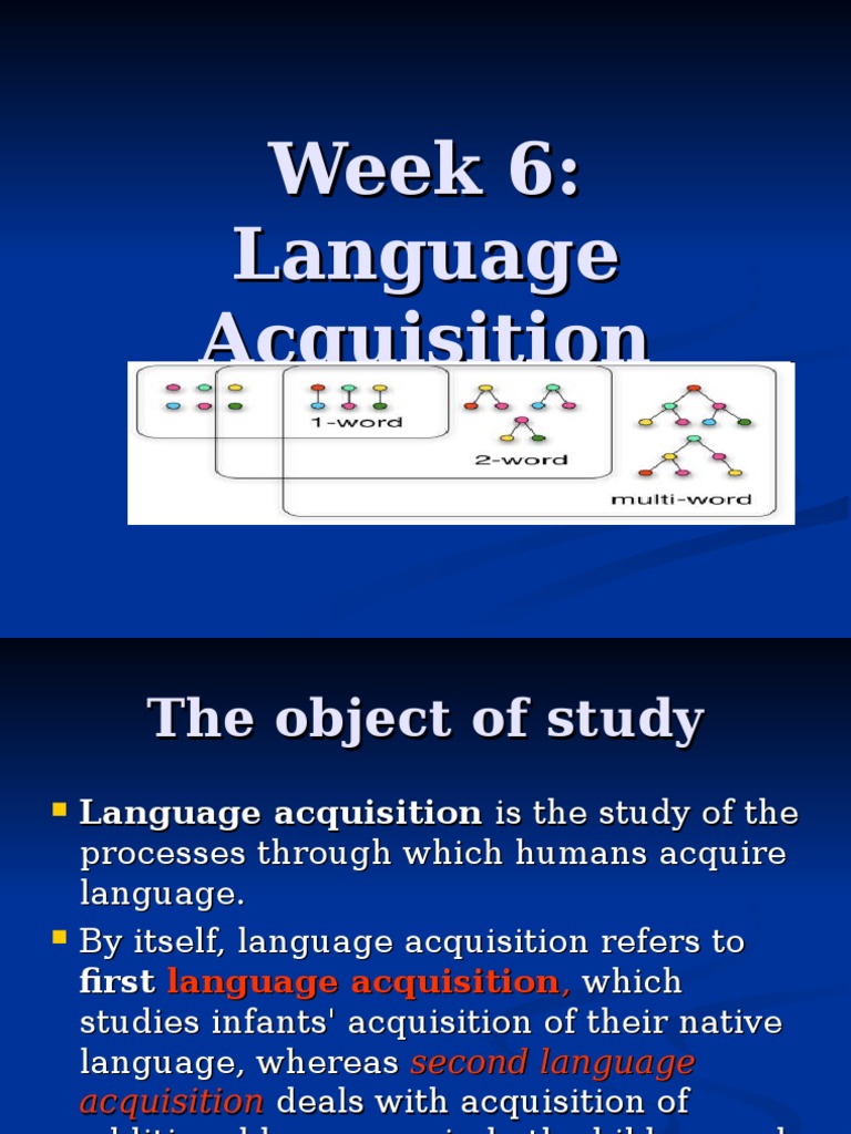Language Acquisition.6 | PDF | Language Acquisition | Human Communication