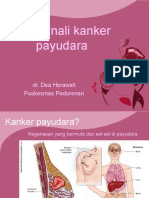 Kanker Payudara